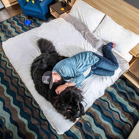 Accent Inns Kamloops Ngoại thất bức ảnh