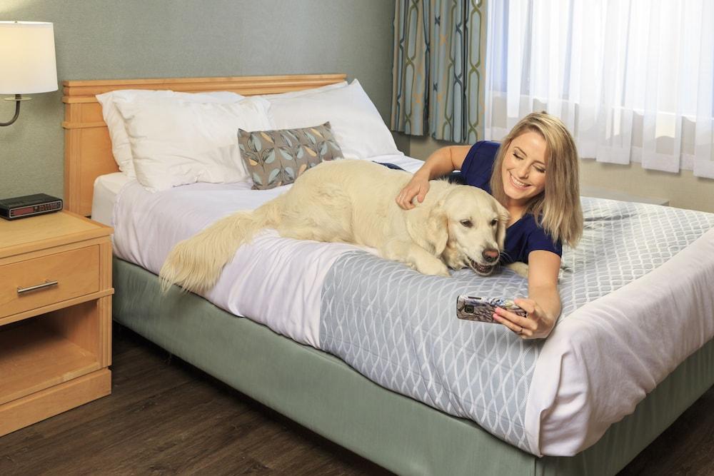 Accent Inns Kamloops Ngoại thất bức ảnh