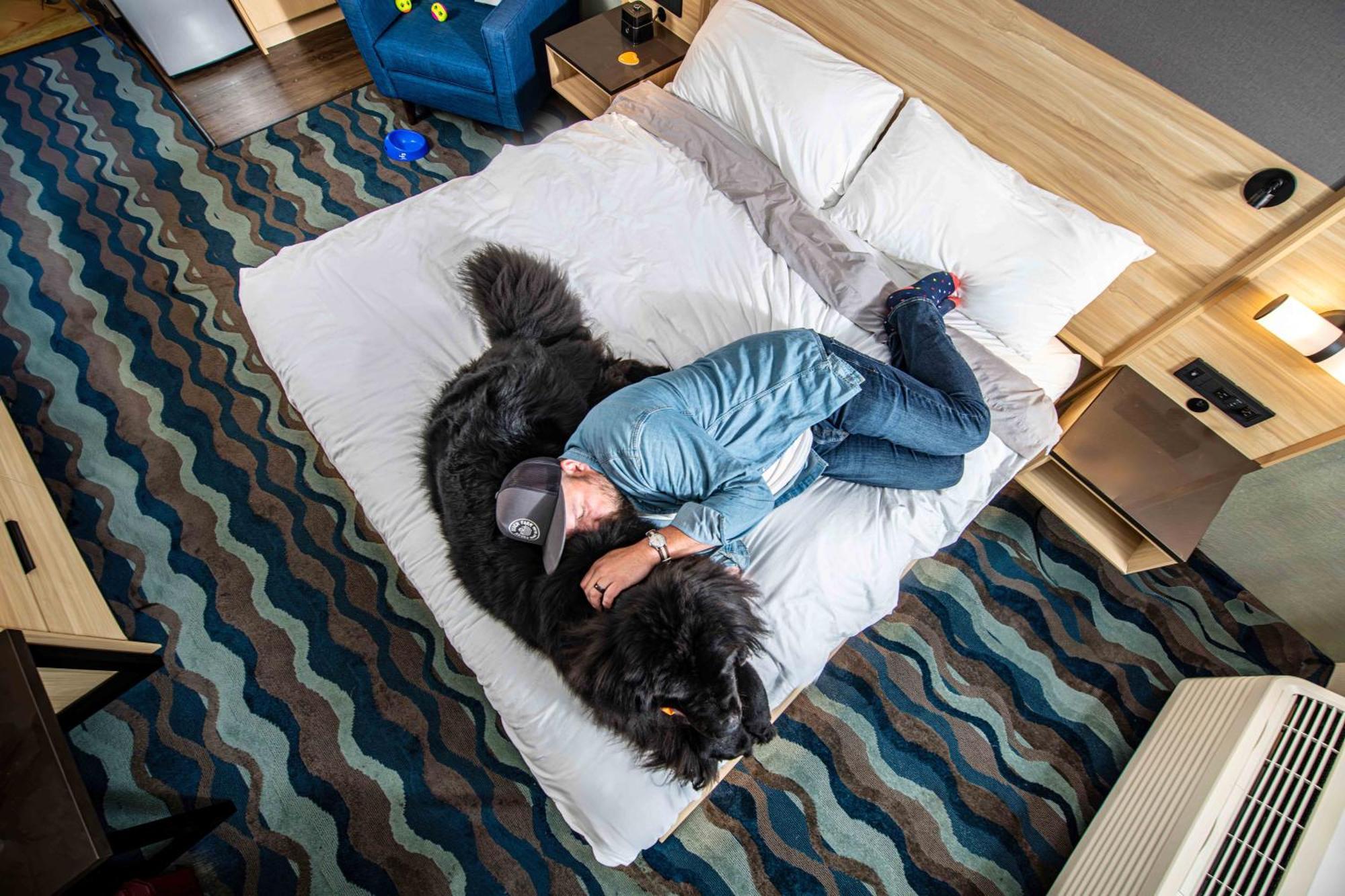 Accent Inns Kamloops Ngoại thất bức ảnh