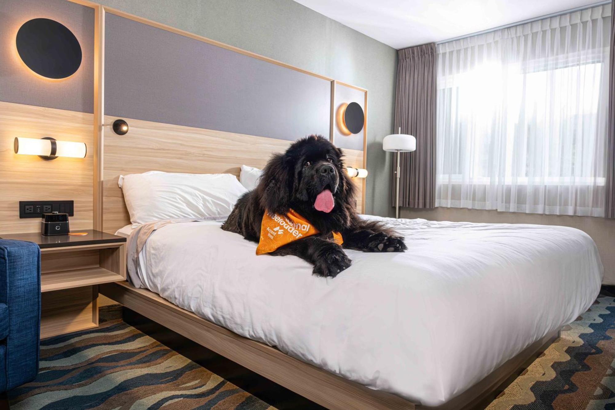 Accent Inns Kamloops Ngoại thất bức ảnh
